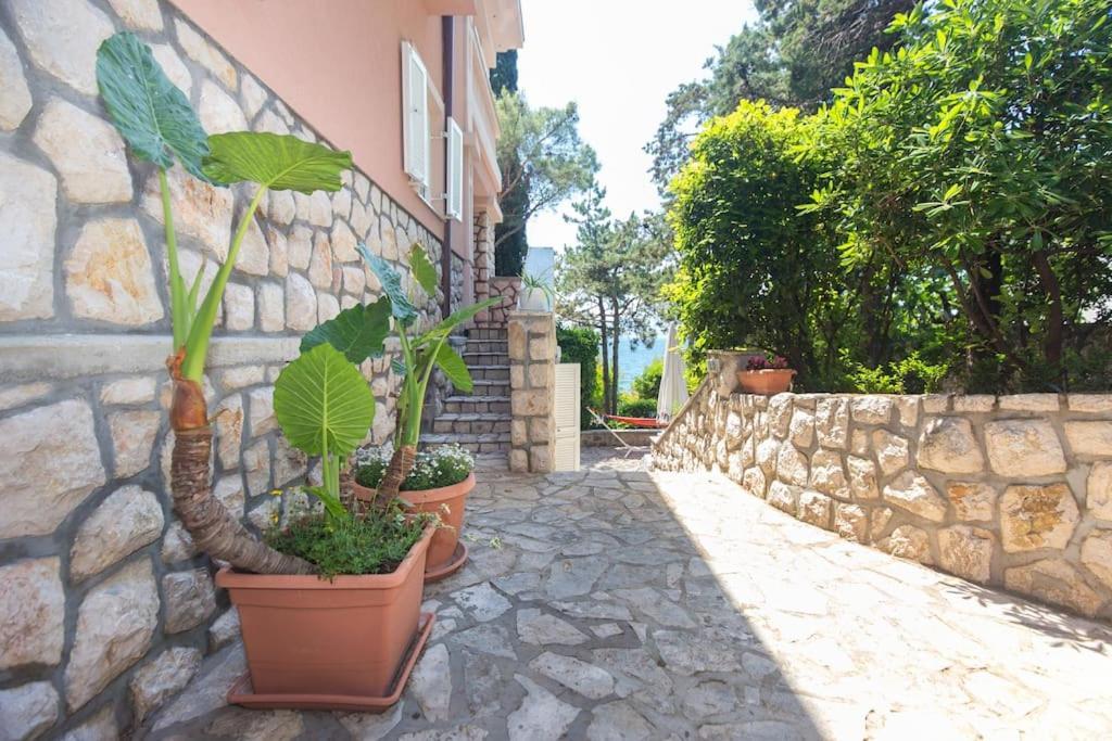 Villa Stefi Нови Винодолски Екстериор снимка