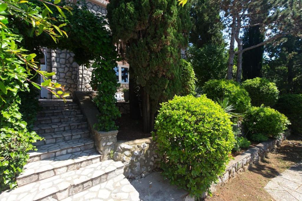 Villa Stefi Нови Винодолски Екстериор снимка